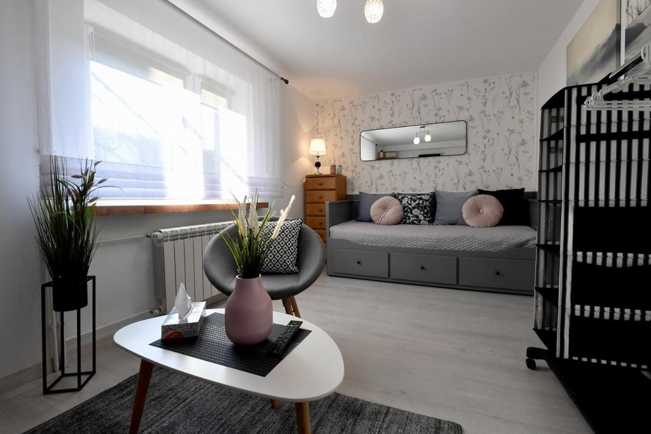 Apartment - Energylandia Krakow Oswiecim Wadowice Spytkowice (Wadowice)