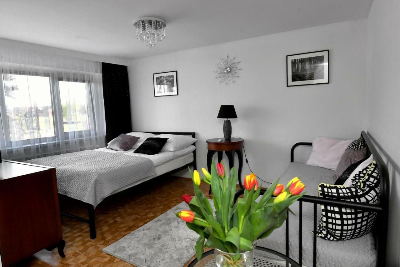 - Energylandia Krakow Oswiecim Wadowice Apartment *